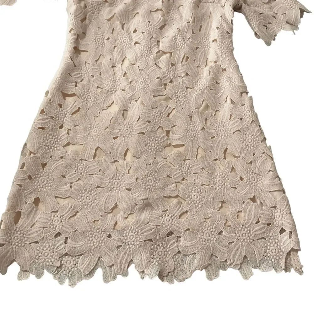 Forever 21 Lace Blush Dress MEDIUM - Picture 10 of 13